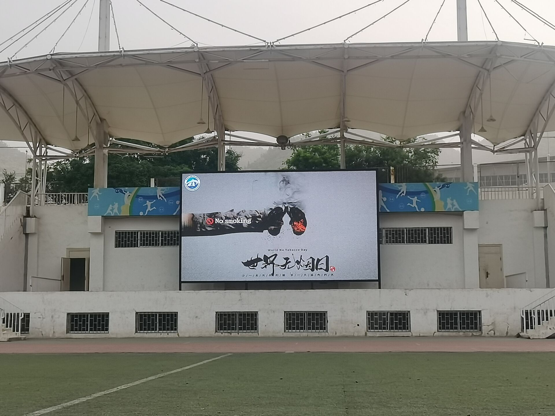 qq图片20210601090854