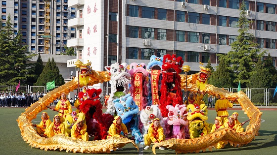 汽车系1