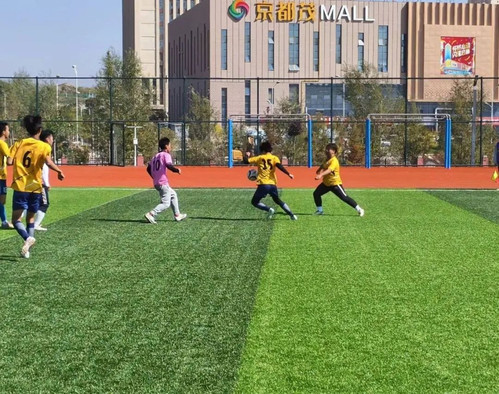 微信图片_20241115110958.jpg
