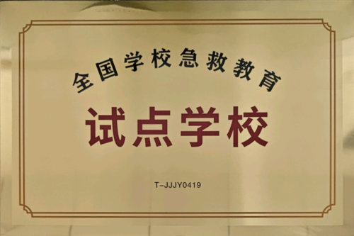 90CFDD8694589ACFB65FA33E03D09BED.png