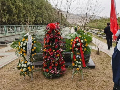 图片115.jpg