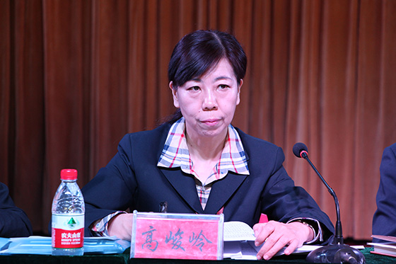 4 党委副书记、纪委书记高峻岭作党风廉政建设工作报告
