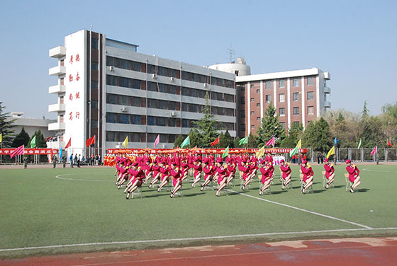 管理系2