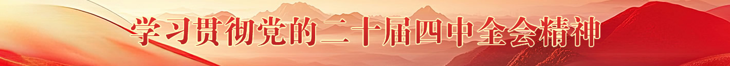 学习贯彻党的二十届四中全会精神