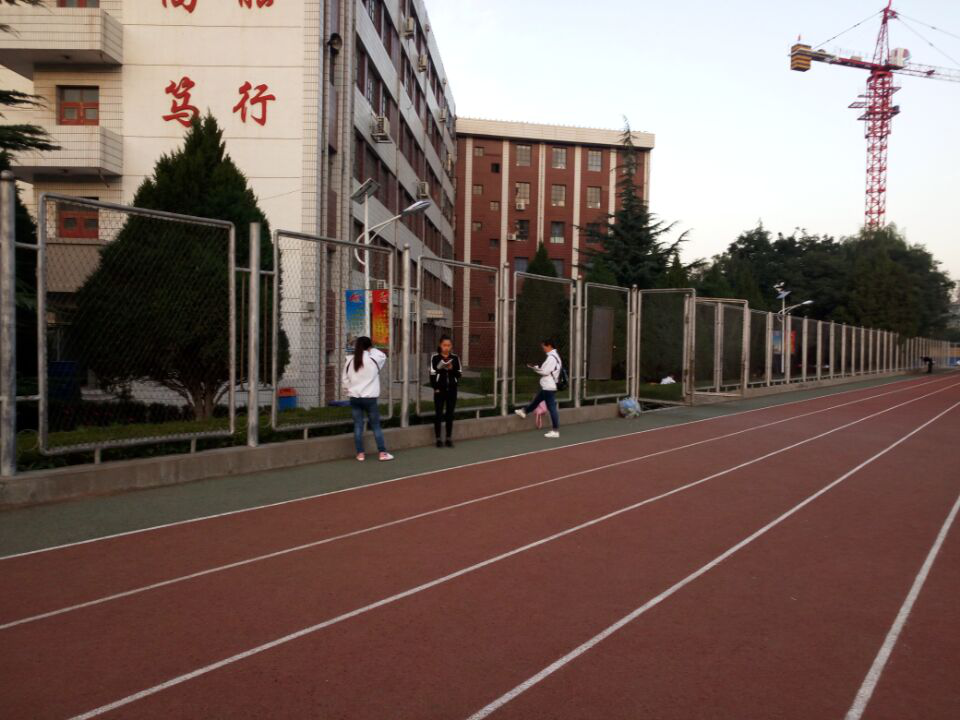 鍥剧墖2
