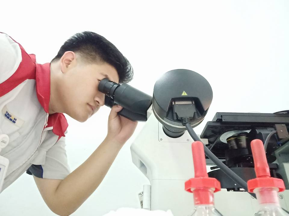 640 (11).png